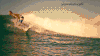 冲浪  海浪 水上运动 surfing