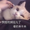 萌宠 喵星人 快点亲我 亲我一下 呆萌 可爱