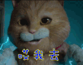 喵星人 哎我去