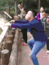 动物园   搞笑   模仿   大猩猩