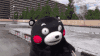 熊本熊 泼水 玩偶 搞笑