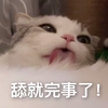 萌宠 猫星人 舔就完事了 舔猫 搞怪 逗