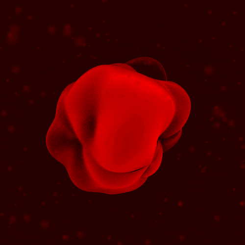 三维 3d 细胞 红色 移动