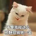 猫咪 白毛 可爱 我邪魅狷狂的 一笑