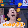 姐姐好饿 小s 主持人 哈哈哈爆笑 soogif soogif出品