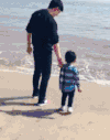 父子 海边 倒退 摔倒