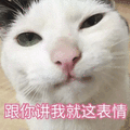 猫 表情 跟你讲