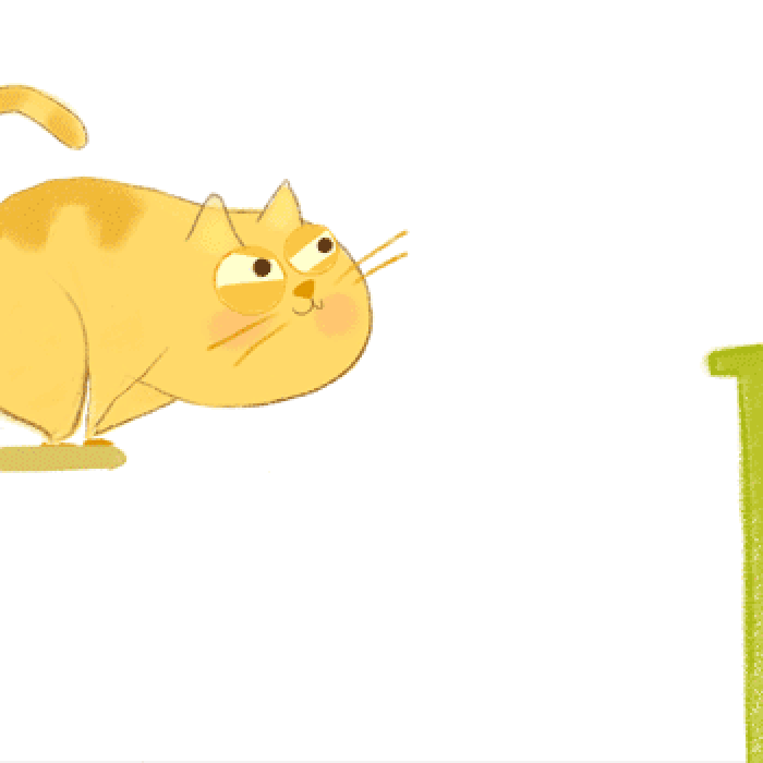 猫咪 胖 蹦跳 可爱