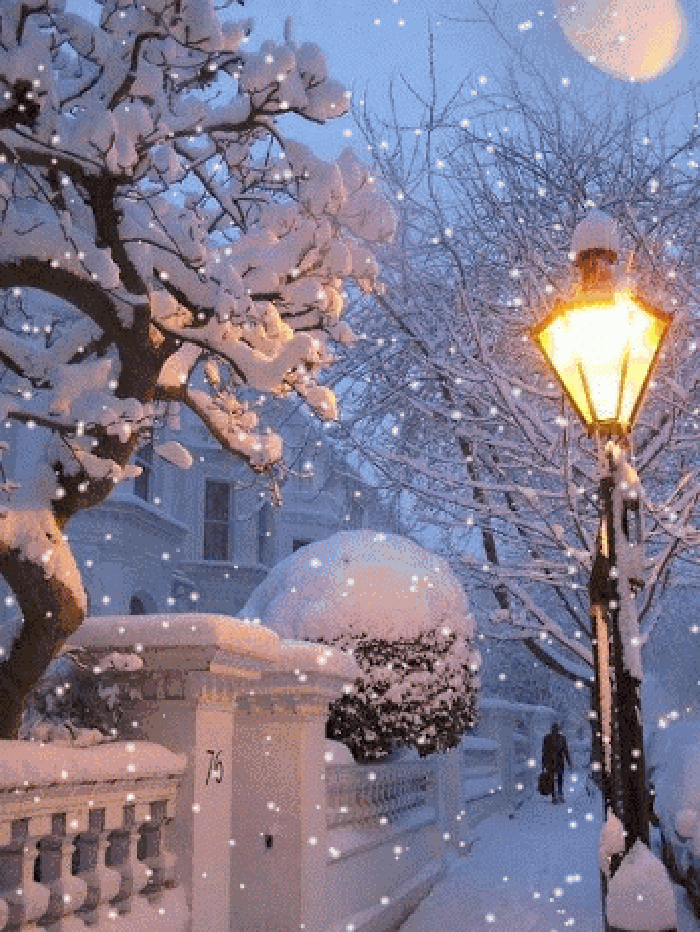 美景 美美哒 雪景 灯光
