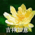 莲花 沙雕莲花 吉祥如意