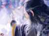 神雕侠侣 影视 明星