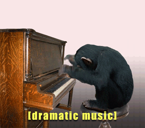 猴子  音乐 大师 钢琴