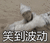 情深深雨蒙蒙 蒙丹 小道波动 斗图
