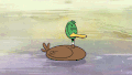 鸭子 duck 间谍 水湖