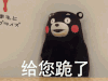 熊本熊 萌宠 靠墙 给您跪了
