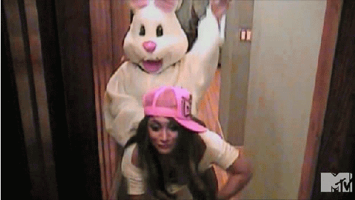 跳舞 泽西海岸 电视 迪纳 跳舞 兔子 MTV 女人 奇怪的 snookie Deena妮科尔科特斯 妮科尔波利齐 蒂娜科特斯 大兔子