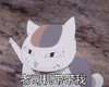 夏目猫   开心   噘嘴    喵星人  肉肉的