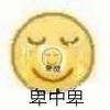 卑微 黄脸卑微 卑中卑
