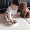 宝贝 狗狗 沙发 诱惑