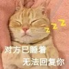 萌宠 喵星人 对方已回复 睡着了 呆萌 可爱 朋友圈评论表情