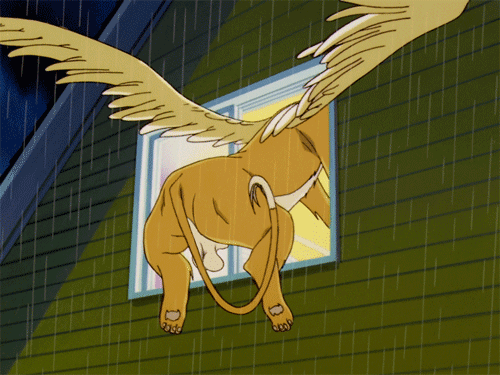 下雨  动物  翅膀  卡住  蹬腿  窗户