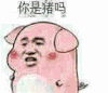 你是猪吗 你是狗吗 你是鸡吗 你是猴吗 你是牛吗 你是羊吗 你是蛇吗
