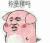 你是猪吗 你是狗吗 你是鸡吗 你是猴吗 你是牛吗 你是羊吗 你是蛇吗