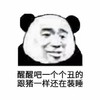 金馆长 熊猫人 醒醒吧一个个 丑的跟猪一样 还在装睡