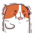 萌宠 狗狗 发抖 冷