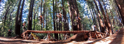 树林 自行车 飞跃 循环