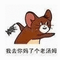 猫和老鼠 猫和老鼠表情包 汤姆 杰瑞 汤姆猫 杰瑞鼠