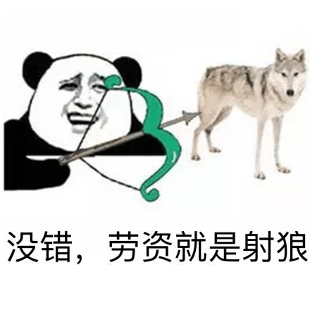 熊猫人 菊花 逗比 没错劳资就是射狼