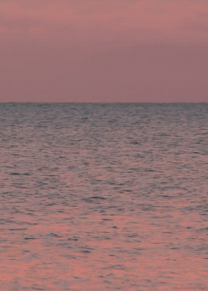 大海 夕阳 平静 海面