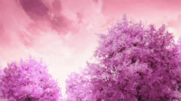 秒速5厘米 樱花 紫色 花瓣