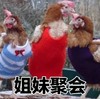 姐妹聚会 公鸡 搞笑 毛衣 萌萌哒 可爱