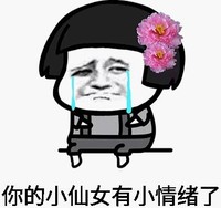 熊猫头 魔性 沙雕 小仙女 搞笑