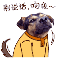 小狗 摇尾巴 黄衣服  别说话吻我
