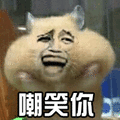 斗图 萌宠 仓鼠 嘲笑你