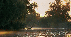 多瑙河 多瑙河-欧洲的亚马逊 纪录片 美 风景 黄昏