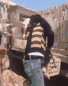 女孩 工作 汉子