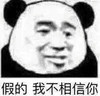 暴漫 熊猫头 假的 我不相信你 搞怪 逗