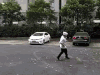 太极 会玩 龙卷风 树叶
