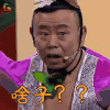 老小孩儿小小孩儿 潘长江 啥子 蒙圈 soogif soogif出品