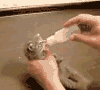 猫咪 吃奶 搞笑 蠢萌
