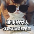 做我的女人 猫咪 带墨镜 可爱