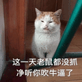 老鼠 吹牛 猫