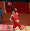 羽毛球 体育 傅海峰