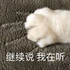 萌宠 喵星人 继续说 我在听 搞怪 逗