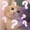 萌宠 猫星人 ？？？满脸问号 呆萌 可爱
