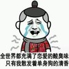 哭泣 难受 全世界都充满了恋爱的酸臭味 只有我散发着单身狗的清香